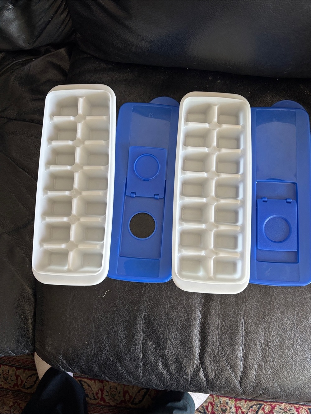Ice Cube Trays with Blue Lids - Set of 2